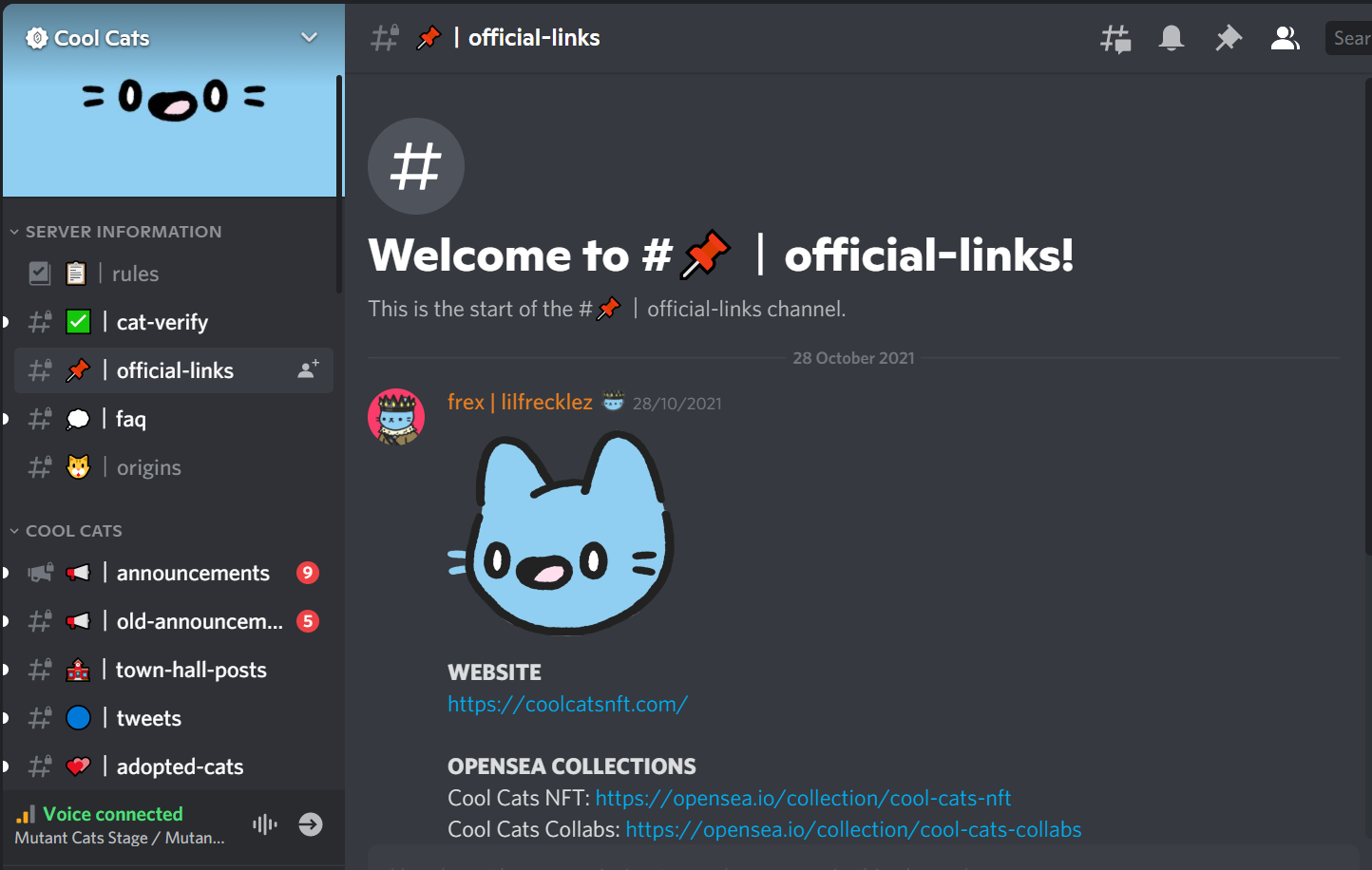 Cool Cat Discord Server