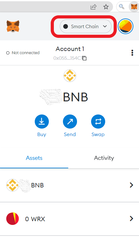 Fix BUSD Not Received/ Visible in MetaMask