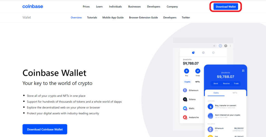 Create and Set Up Coinbase Wallet