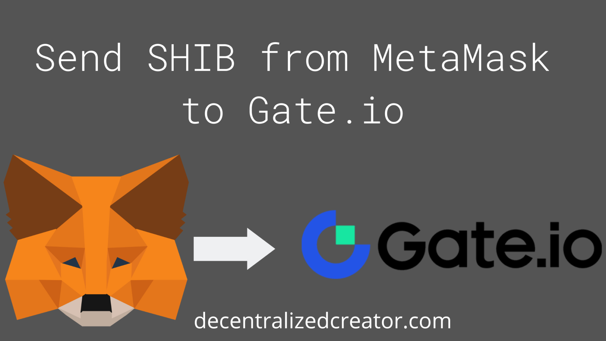 shiba token metamask