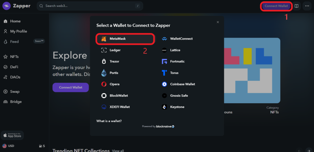 Connect MetaMask to Zapper.fi