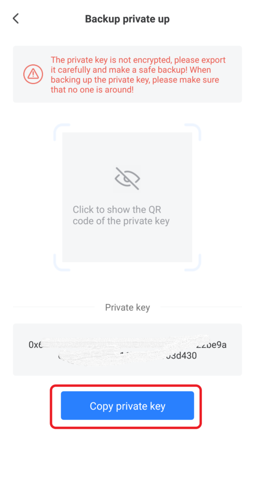 Private Key in TokenPocket Wallet Mobile application