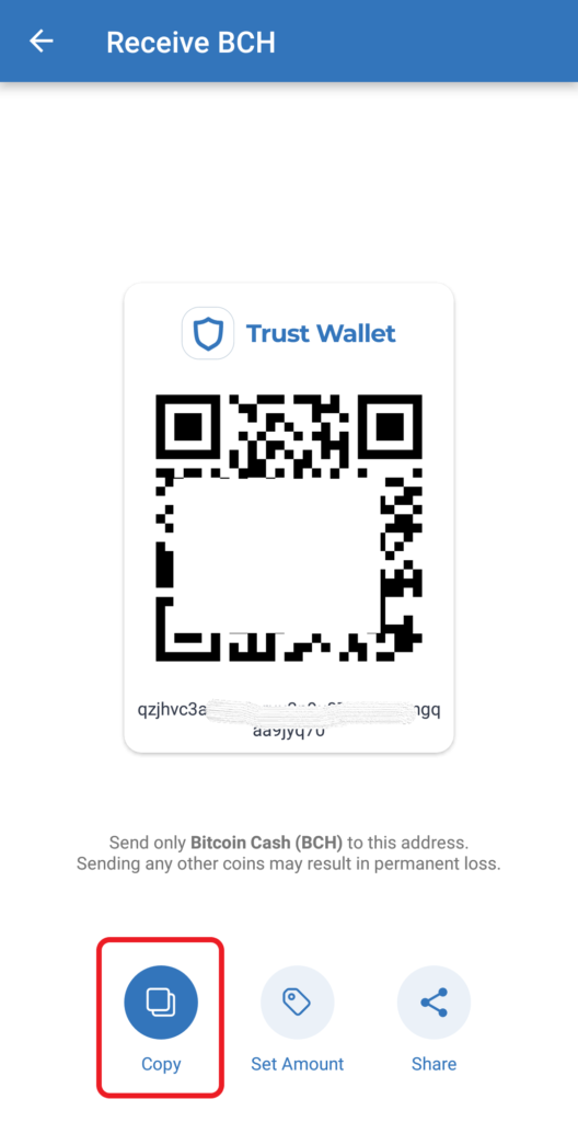 Bitcoin cash (BCH) deposit address