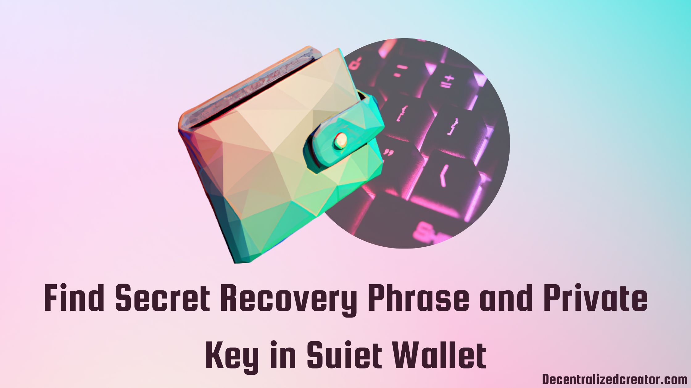 Find Secret Recovery Phrase And Private Key In Suiet Wallet