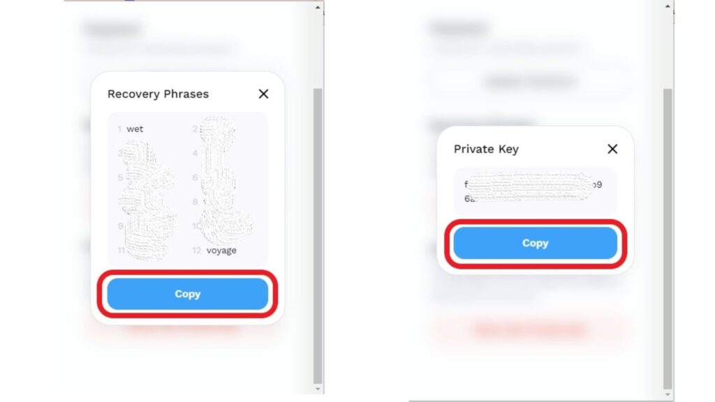 Find Secret Recovery Phrase and Private Key in Suiet Wallet
